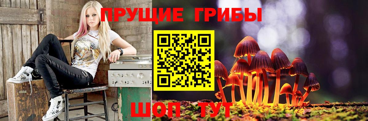 Псилоцибиновые грибы мицелий Вязники